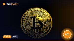 An Introductory Guide to the Evolution of Bitcoin Addresses