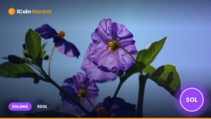 Curetopia secures $1.77M funding to accelerate decentralized biotech innovation with Solana