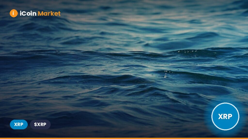 Expert Unveils Three Major Developments Poised to Propel Ripple and XRP This Year Expert Unveils Three Major Developments Poised to Propel Ripple and XRP This Year
