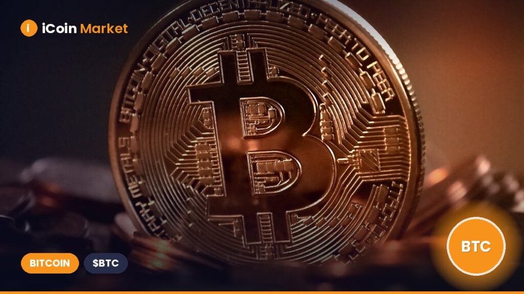 New BTC Milestone: Leading Crypto Asset Surpasses $109,000, Selkis Cautions Trump