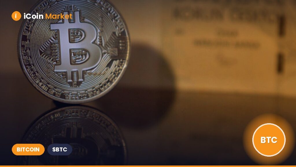 Plan B Disproves Bitcoin Doomsayers: No Bear Market Ahead