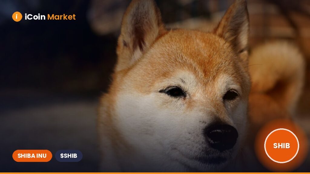 Shiba Inu [SHIB] Price Prediction: Analyzing Short-Term Targets Amid Rising Selling Pressure