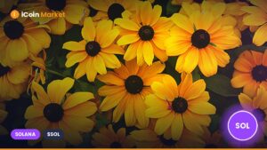 Solana Foundation Faces Backlash Over Controversial Ad Linking Pronouns to DeFi