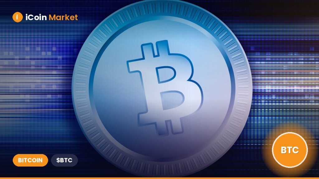 Why Is the Cryptocurrency Market Rising Today? Will Bitcoin’s Price Drop Again?