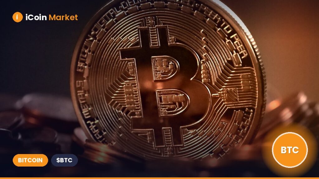 Bitcoin Short-Term Holders Display Hesitation – What Is Causing the Slowdown?
