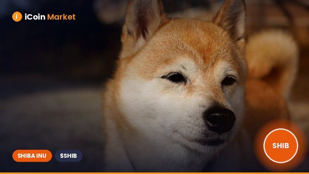 Can Shiba Inu Price Recover to $0.00002 as SHIB Bulls Attempt to Regain Significant Control?