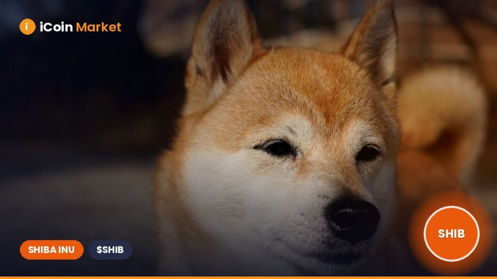 Can the Price of Shiba Inu Surge by 150%? Can the Price of Shiba Inu Surge by 150%?