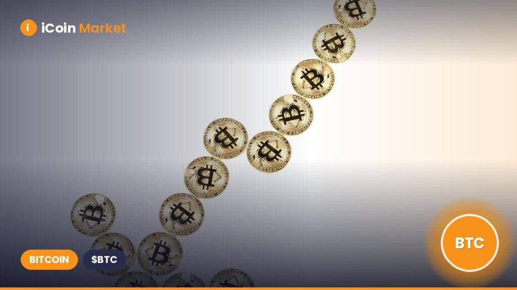 Japan’s ANAP Purchases $70 Million in Bitcoin for Its Treasury