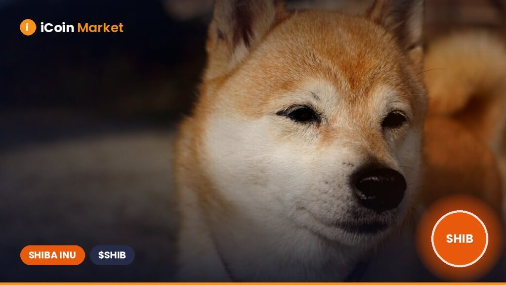 Machine Learning Predicts Shiba Inu Price Surge in April: Here’s the Target
