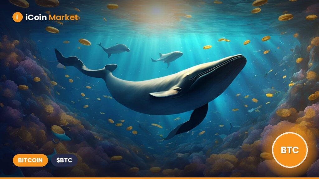Metaplanet Acquires 145 Bitcoin, Increasing Total Holdings to 5,000 BTC Metaplanet Acquires 145 Bitcoin, Increasing Total Holdings to 5,000 BTC