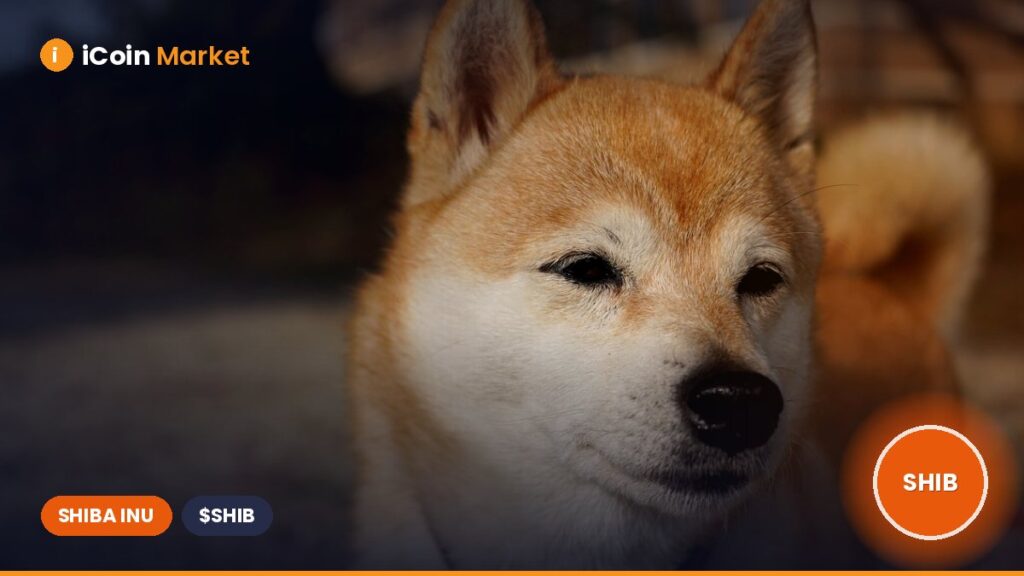 Shiba Inu’s Daily Trading Volume Reaches $224 Billion: Here’s What We Found Out Shiba Inuβs Daily Trading Volume Reaches $224 Billion: Hereβs What We Found Out