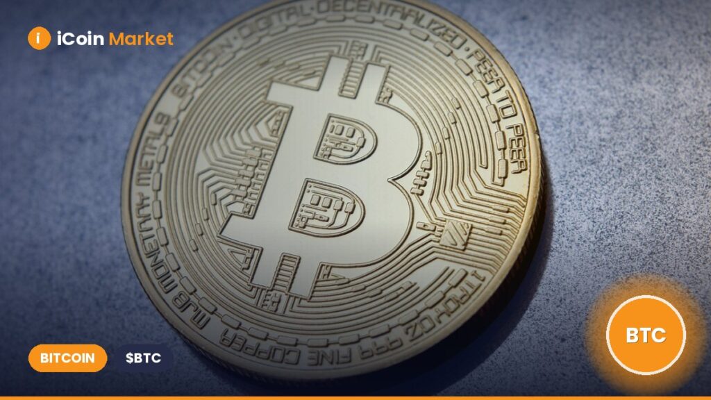 The Crypto Market is Paralyzed by Fear, Yet Bitcoin Continues to Profit