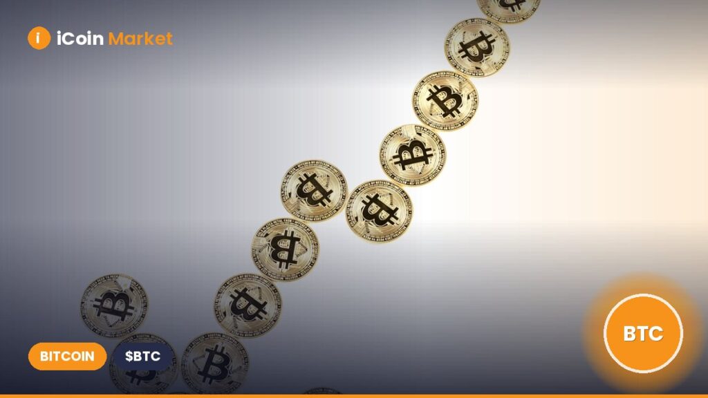 Trump Plans to Use Tariff Revenue to Purchase Bitcoin