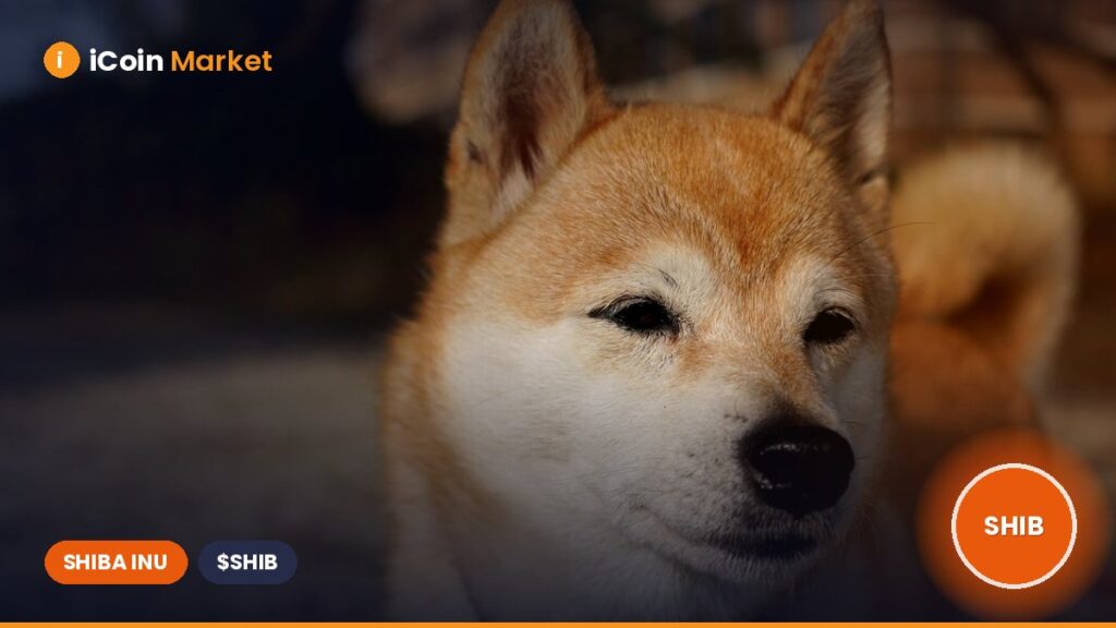 3 Reasons Why Shiba Inu’s Price Could Surge by 43%