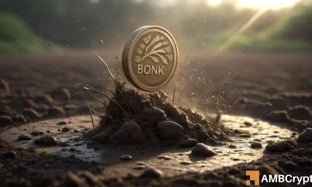 BONK Bloodbath Triggers $4 Million Cold Storage Transfer – What’s Happening?