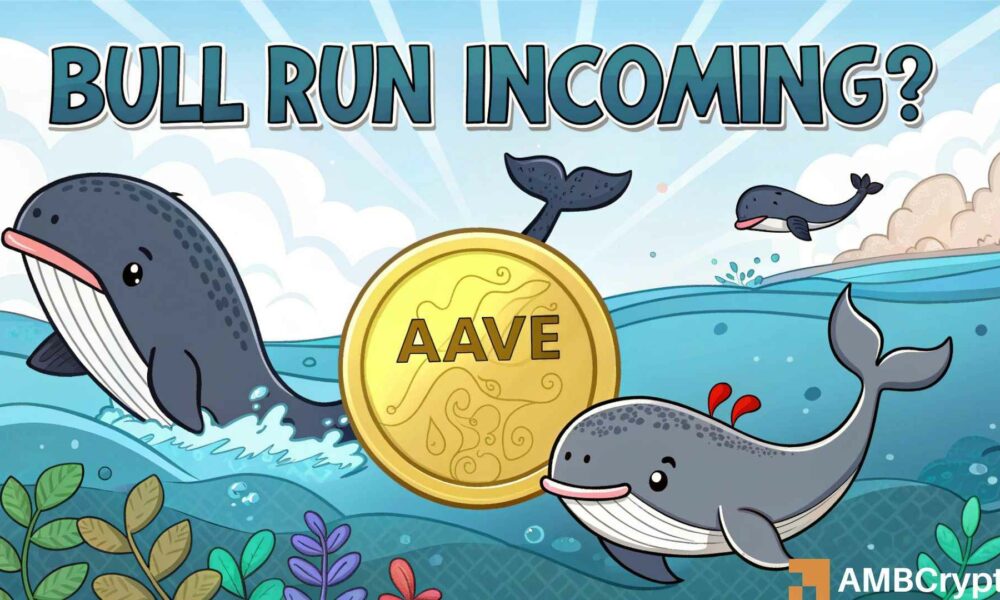 AAVE price set to jump 14% as whale activity spikes.