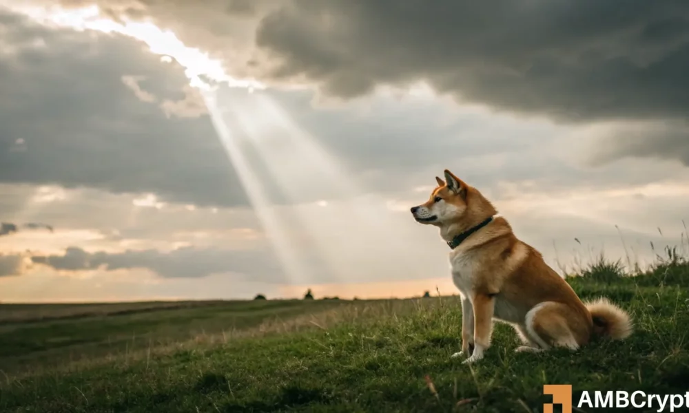 Dogecoin’s Recent Setback Indicates Its Next Price Surge Will…