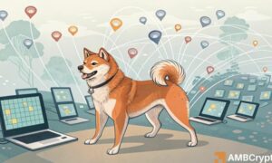 Shiba Inu Whales and Retail Investors are Actively Accumulating