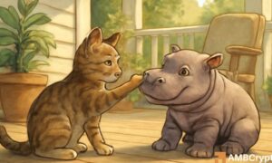 MOODENG: MEW Crypto Surge After Robinhood Listing – What’s Ahead?