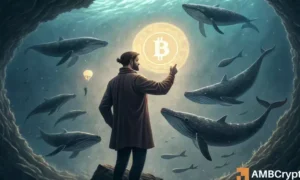 Bitcoin Whale Wallets Move on Binance – Should You Be Concerned?