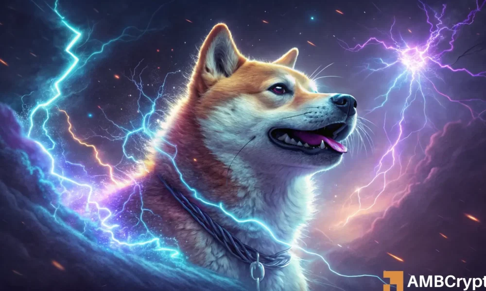 Shiba Inu Experiences 8% Increase in Open Interest – Is a Price Movement on the Horizon?
