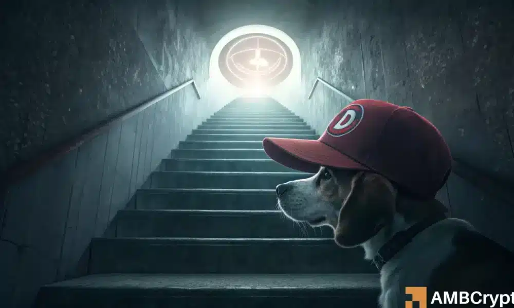 Everything You Need to Know About WIF’s Recent Rebound and Its Potential 33% Price Surge