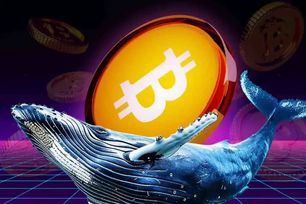 Whales Accumulate, Retail Sells: 83K BTC Acquired Before Bitcoin Volume Surge