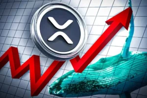 Why Is the XRP Price Rising Today?