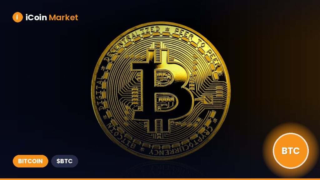 Altcoins Take Off! XMR, AAVE, and WLD Excel While Bitcoin Maintains Support Altcoins Take Off! XMR, AAVE, and WLD Excel While Bitcoin Maintains Support
