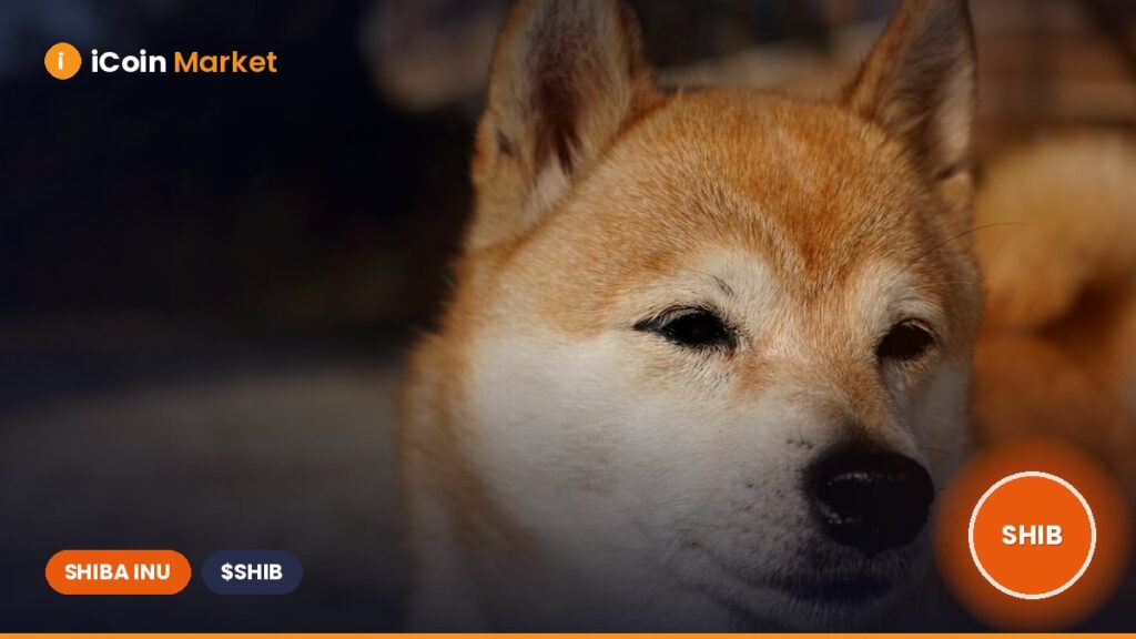 Analyst Outlines Timeline for Shiba Inu to Hit 2024 Price Peaks