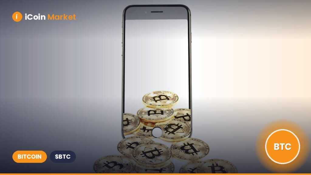 Bitcoin Whale Inflows Drop 40% – Can THIS Group Send BTC Above $103K?