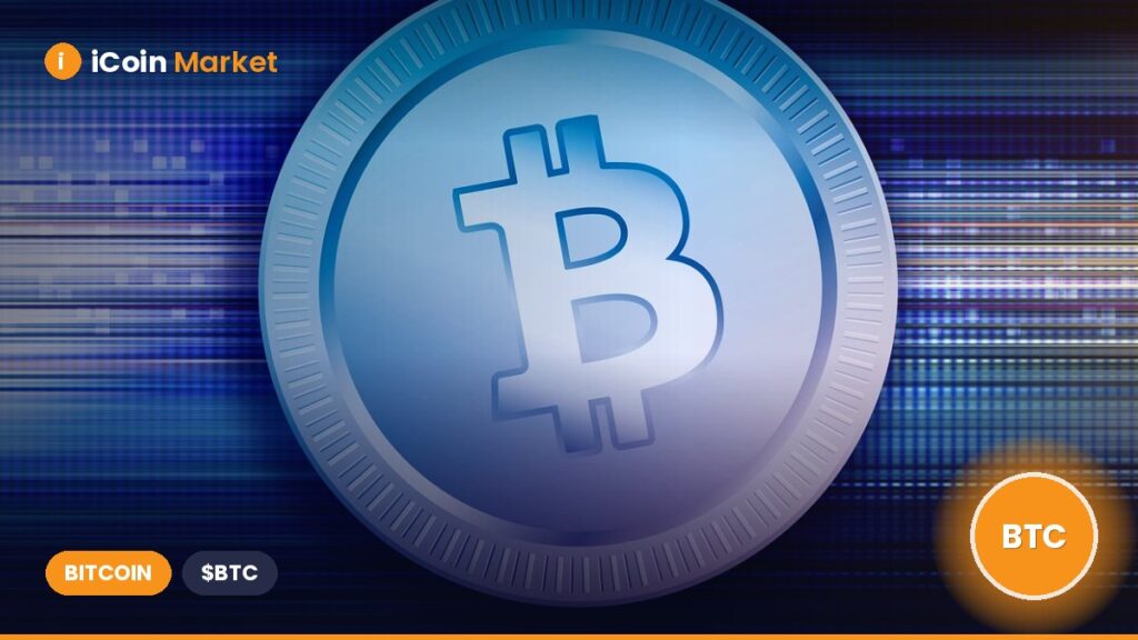 Bitcoin Whales Acquire 122,000 BTC in Just 6 Weeks – What’s Behind the Surge? Bitcoin Whales Acquire 122,000 BTC in Just 6 Weeks – What’s Behind the Surge?
