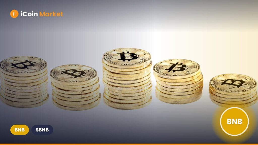 BNB Price Rises as BNB Chain Hits Record Highs in Active Addresses and Transactions