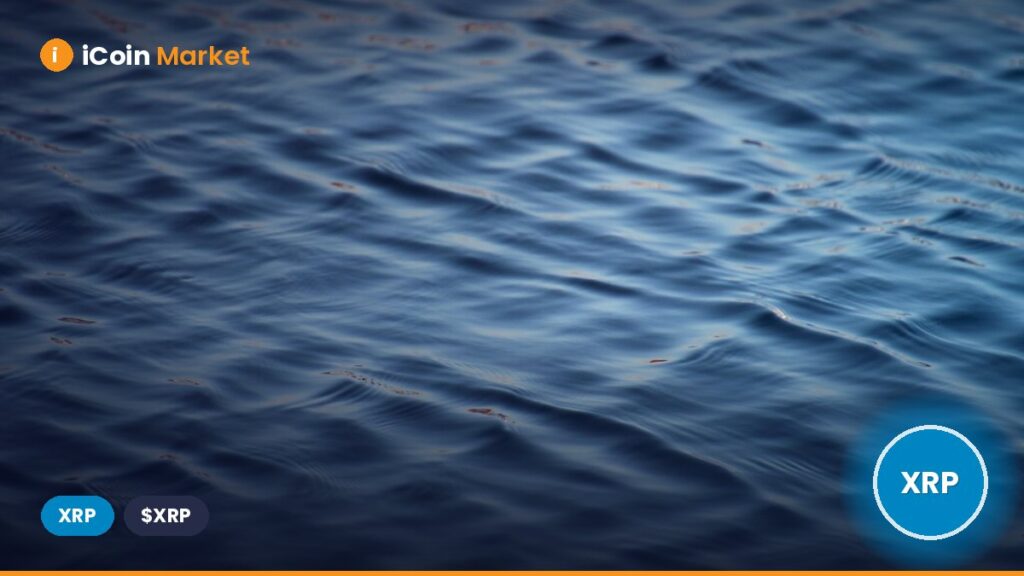 Brad Garlinghouse Advocates for Unity as Ripple Contributes to the Bitcoin Community