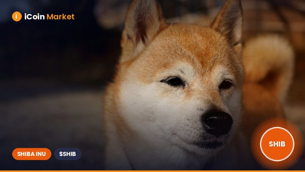 Can Shiba Inu’s Price Compete with New Meme Coins as SHIB Burn Rate Soars by 22,000%?