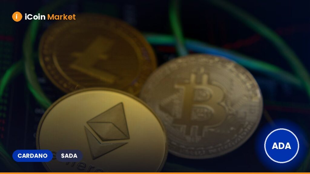 Cardano Daily Transactions Reach 50,000 as SEC Decision on ADA ETF Approaches