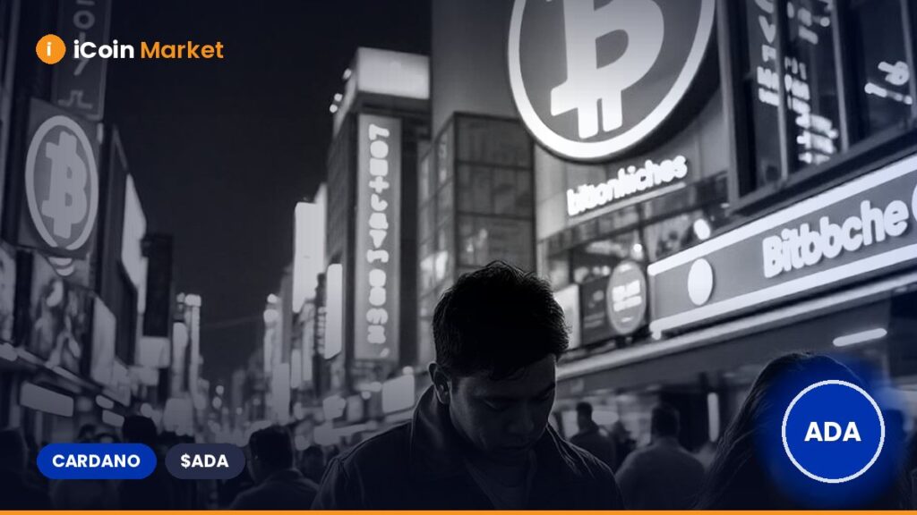 Cardano: With Whale Accumulation Increasing, Could ADA Experience a Surge?