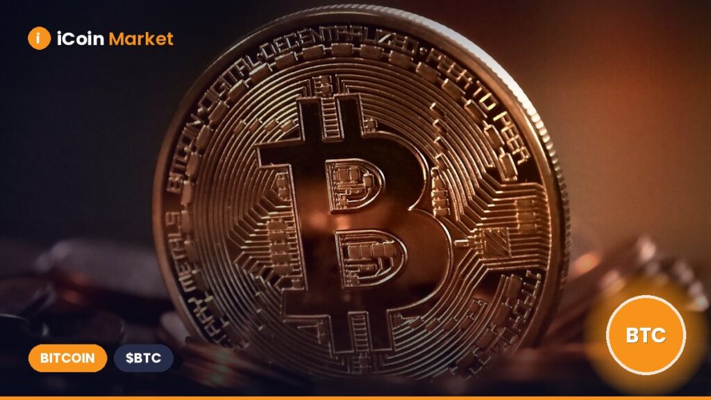 Conor McGregor to Discuss an Irish Strategic Bitcoin Reserve with El Salvador’s Nayib Bukele