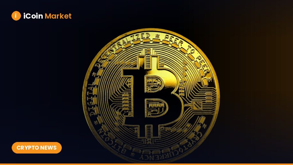 Crypto Couple Abducted in Argentina Released After $43,000 Ransom Paid
