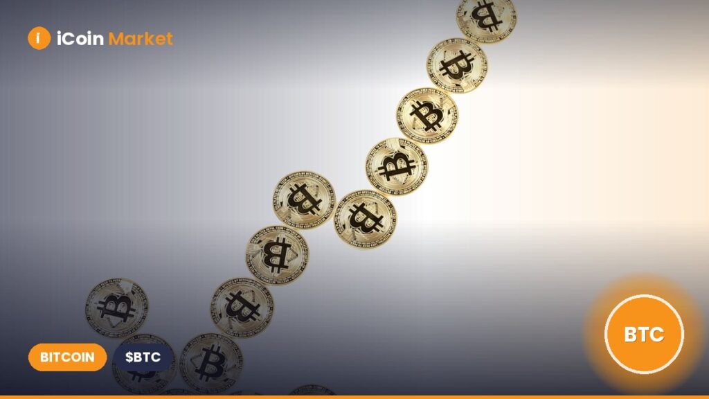 Has the Bitcoin Rally Come to an End as BTC Inflows Decline?