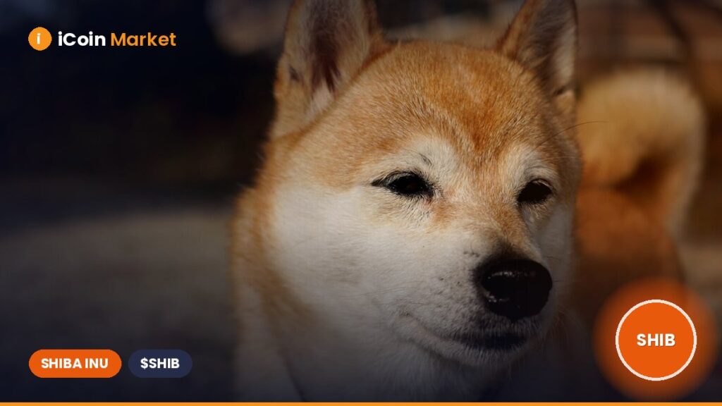 Over 1.17 Billion Shiba Inu Tokens Burned as Shibarium Community Works to Decrease Supply