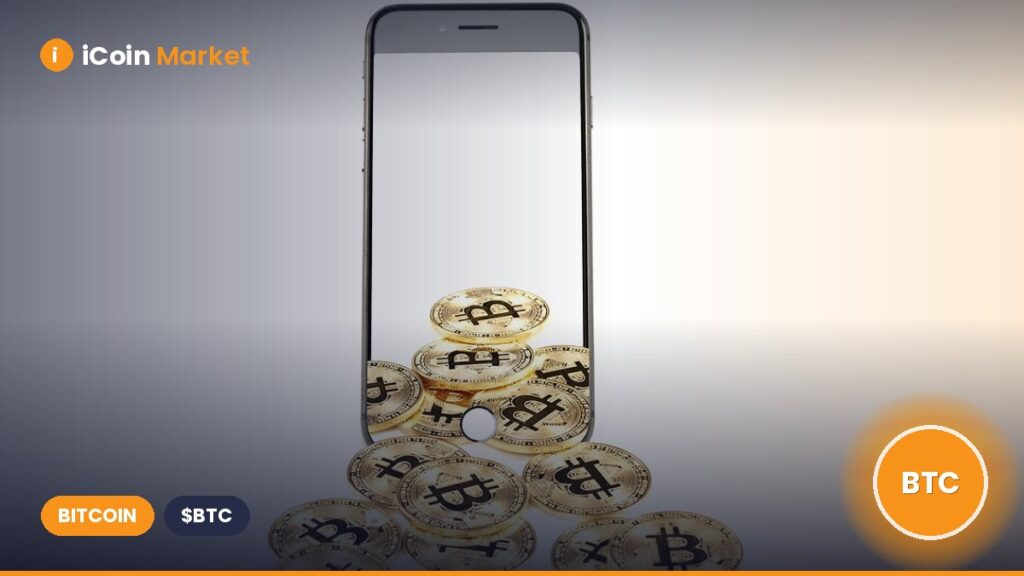 Pakistan Stuns the World with Plans to Establish Bitcoin Strategic Reserve
