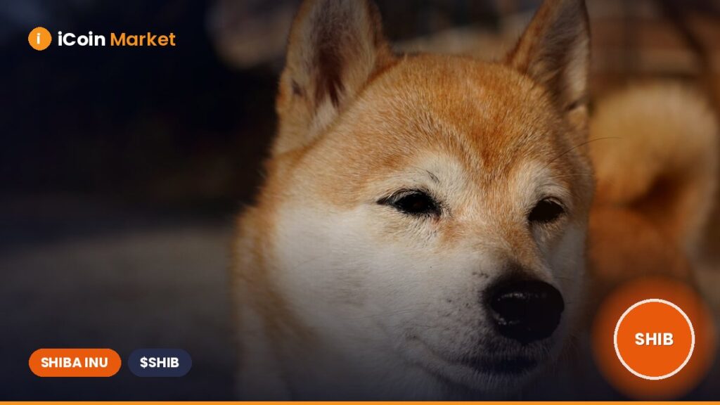 Shiba Inu Community Burns 284 Million Tokens in 24 Hours: What’s Going On? Shiba Inu Community Burns 284 Million Tokens in 24 Hours: What’s Going On?