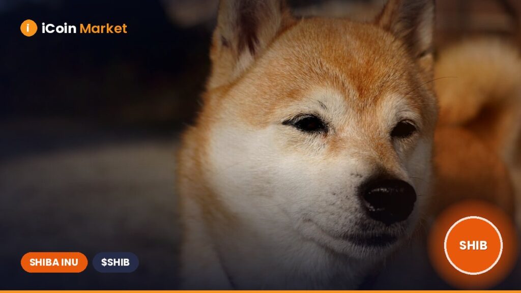 Shiba Inu Moves 327 Million Coins as SHIB Burn Rate Soars by 300%