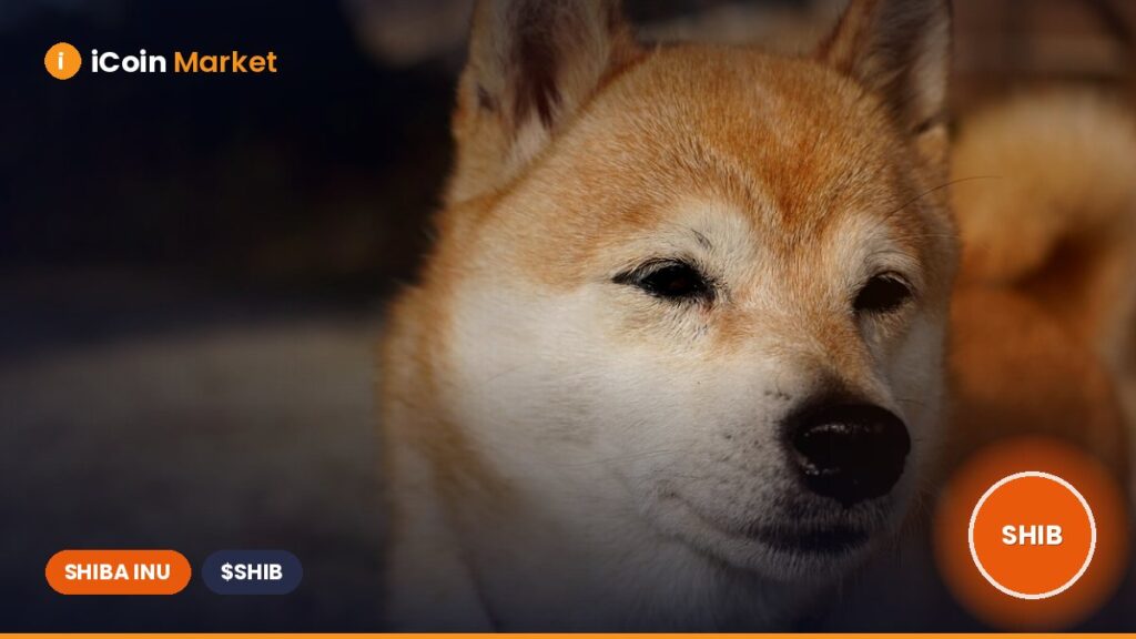 Shiba Inu Price Signals Alarm as 2 Trillion SHIB Hits Exchanges