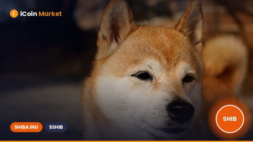 Shiba Inu’s Increased Sell-Off from Two Major Groups: Is Sell Pressure Growing?