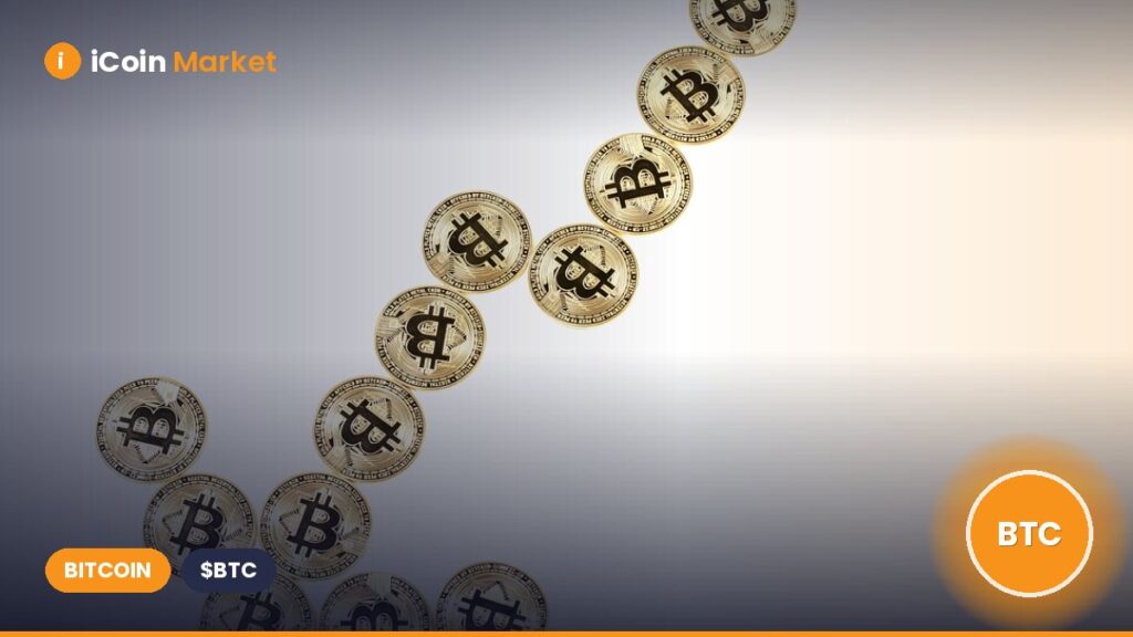 Uniswap Rises 20% as Bitcoin Reaches $100K Again Uniswap Rises 20% as Bitcoin Reaches $100K Again