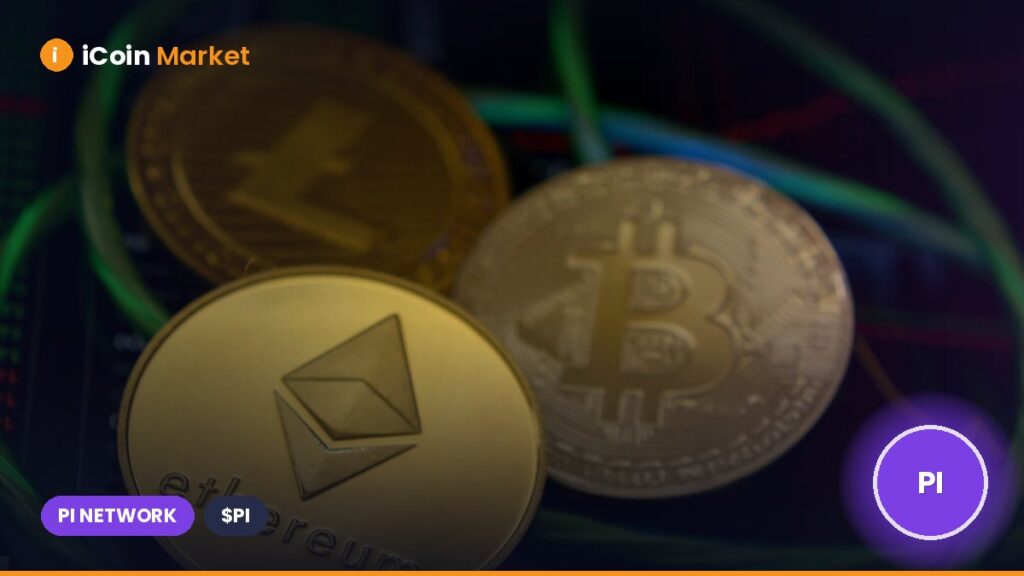 Weekly Winners and Losers in the Crypto Market – XCN, WIF, PI, OP Weekly Winners and Losers in the Crypto Market – XCN, WIF, PI, OP