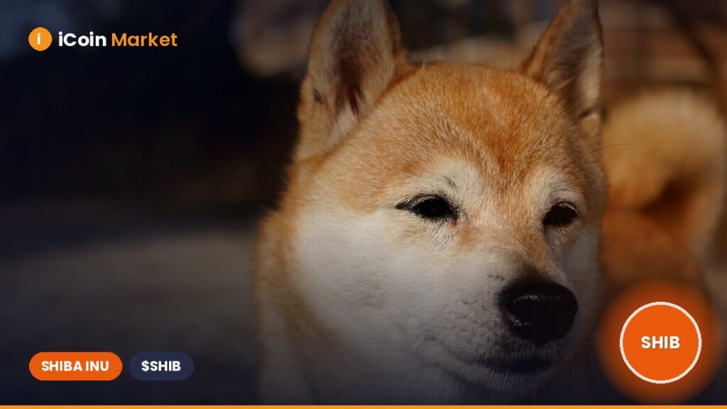 What If Shiba Inu Reaches Dogecoin’s Market Cap? Here’s Its Possible Price.