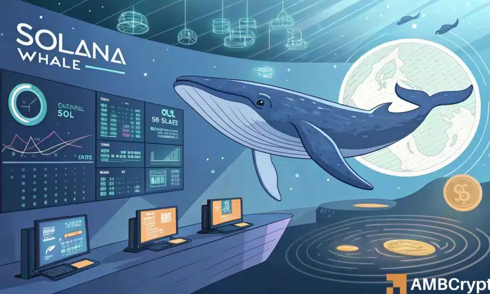 Solana Whale Withdraws $17M After Four Years – Should You Be Concerned?
